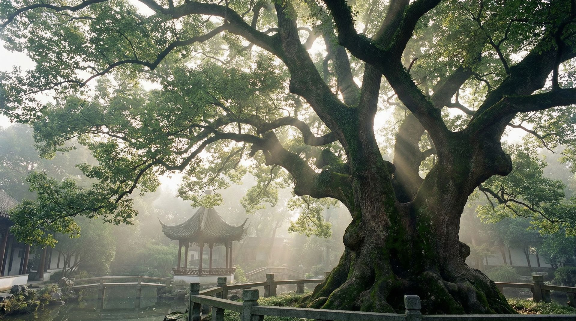 国产视频樟树视频